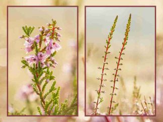 Aanbieding Ik denk aan jullie! VR 010 | Verboom fotokaarten